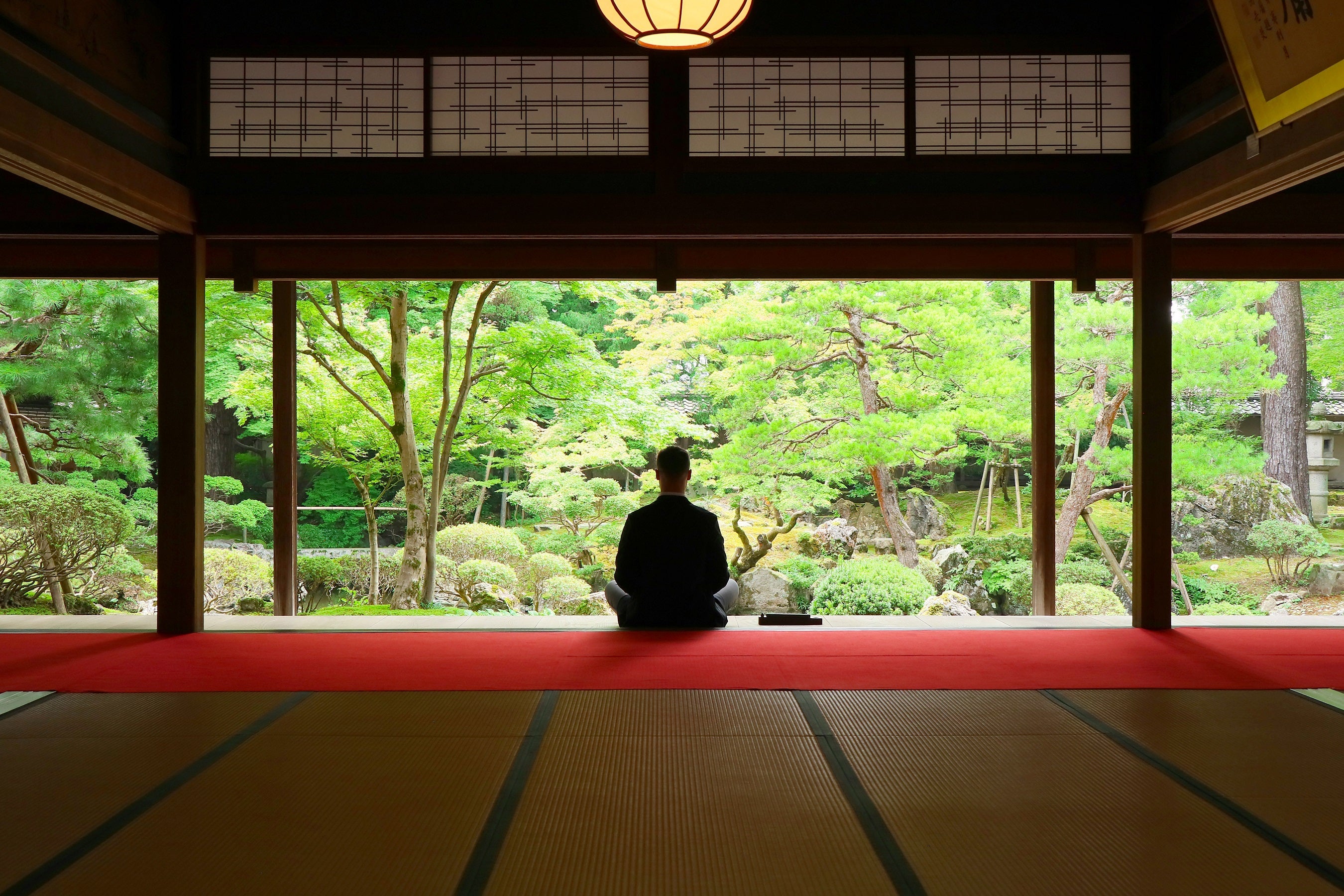 動画を読み込む: 